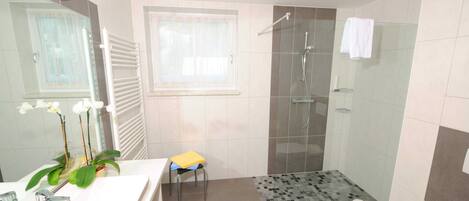 Regadera, secadora de cabello, toallas