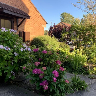 Bungalow Harrogate de 2 habitaciones