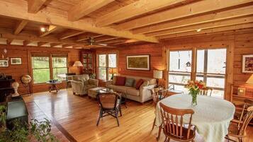 TV, video games, DVD player, books