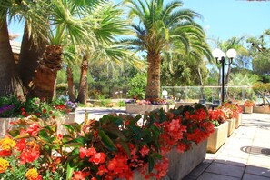 Terrein van de accommodatie