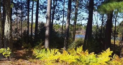 Private Northwoods cabin