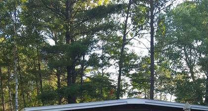 Private Northwoods cabin