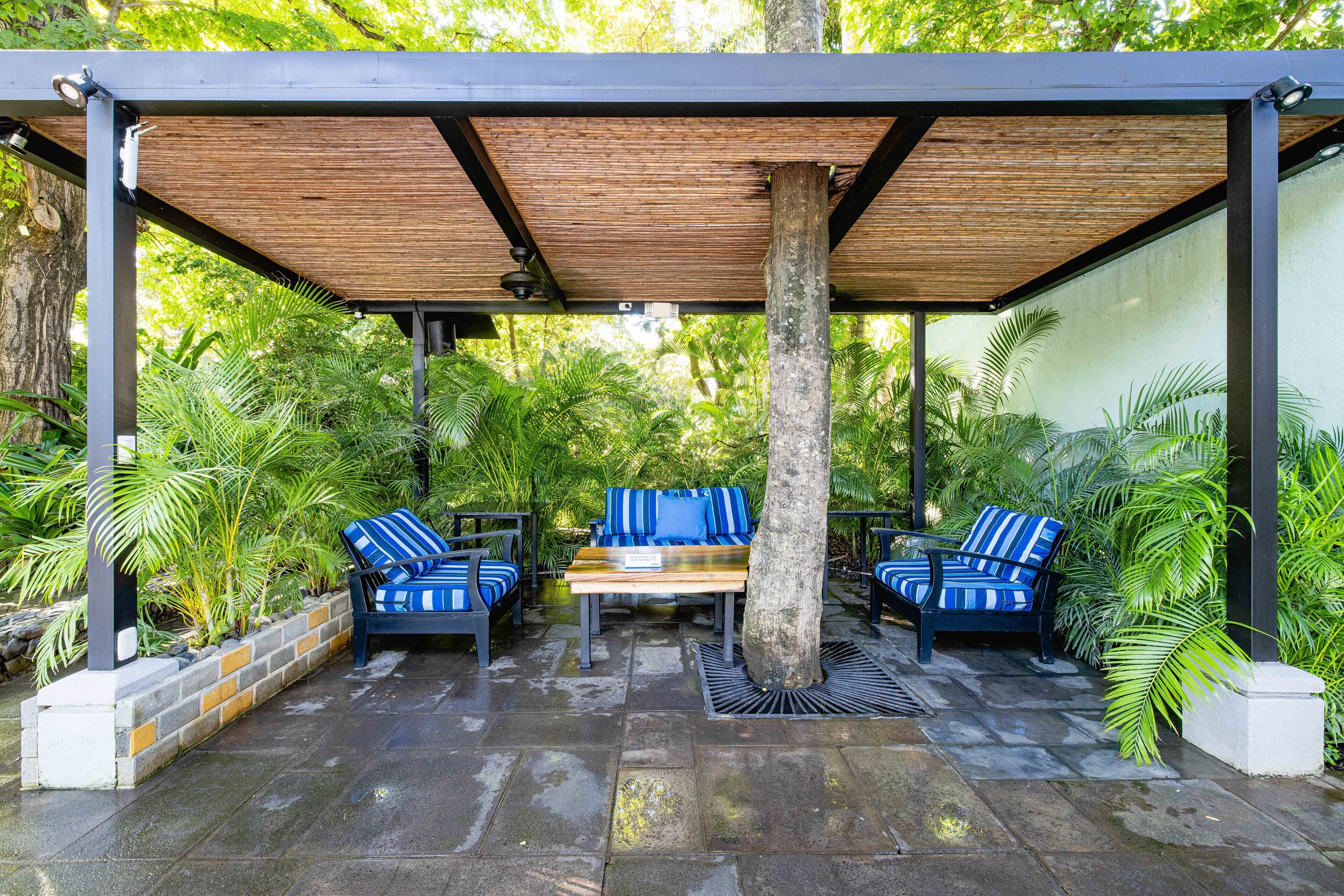 An outdoor seating area with a wooden pergola, two blue-striped chairs, a table, and a tree trunk in the center.