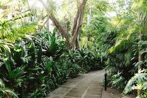 Property grounds - Luxury Condo w/ the beach just across the street & beach club access! (Tamarindo)