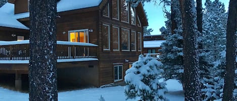 Exteriör