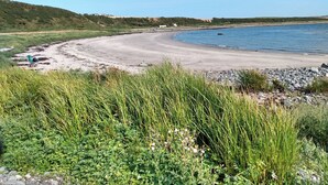 Una spiaggia con un litorale curvo, zone verdi e cielo sereno.