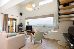 Smart TV, fireplace, video games, DVD player