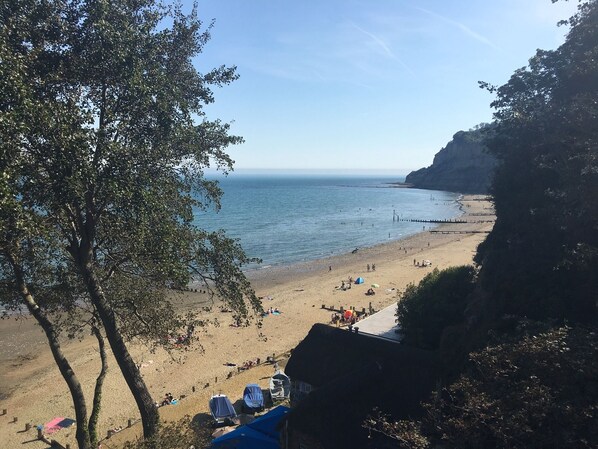 Playa en los alrededores y camastros 