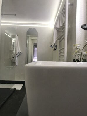 Shower, hair dryer, bidet, towels