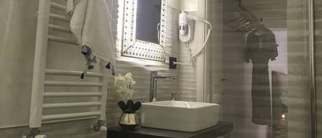 Shower, hair dryer, bidet, towels