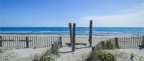 بالقرب من الشاطئ، صيد الأسماك