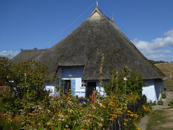 A traditional thatched-roof house with a blue exterior and a door.