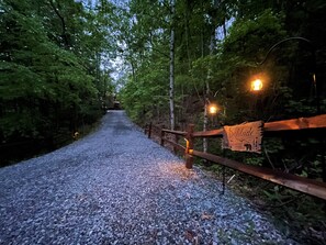 Property grounds - SOLITUDE - Luxury w/Mountain Views, Very private 5.5 Acres w/Hot Tub, Fireplaces (Blue Ridge)