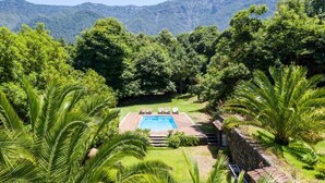 A pool surrounded by lush greenery and mountains in the background. - Canarian house with pool, barbecue, wifi, netflix (La Orotava)