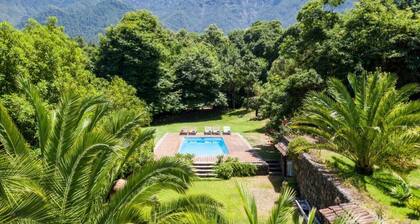 Canarian house with pool, barbecue, wifi, netflix