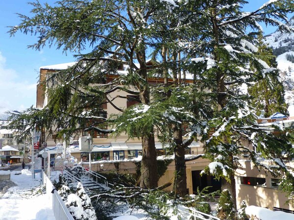 A building with multiple floors, surrounded by snow-covered trees.
