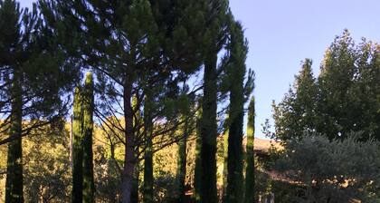 Prestigious estate in Ménerbes. large heated swimming pool. large landscaped grounds.