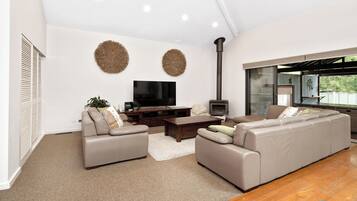 Smart TV, fireplace, DVD player, books