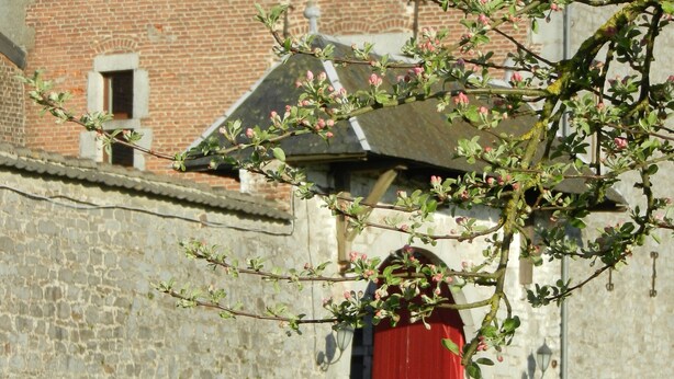 Ein Steinhaus mit roter Tür und einem kleinen Garten davor.