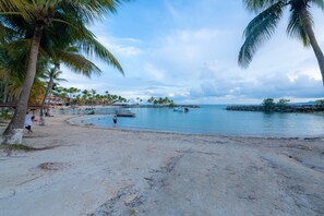 Beach - ECRIN OF PALM TREES --- (LE GOSIER)