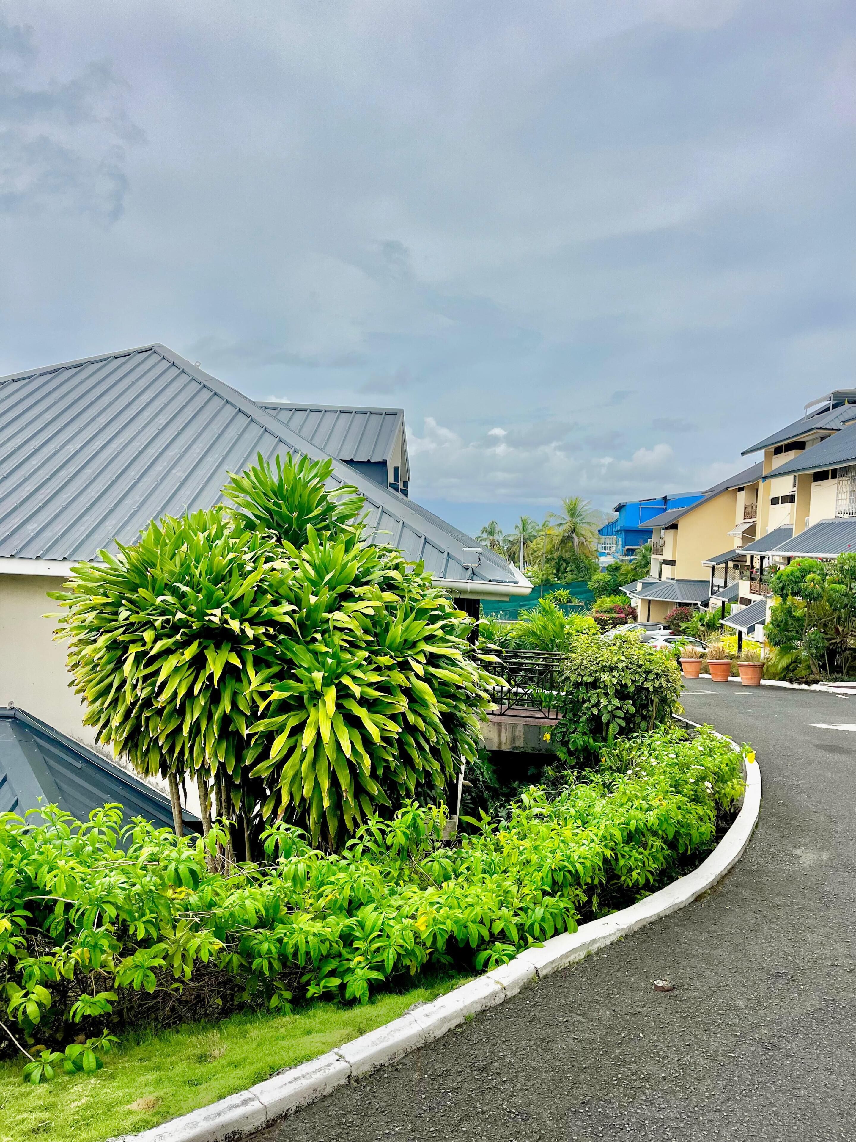 A residential area with houses, a curved road, and lush greenery.