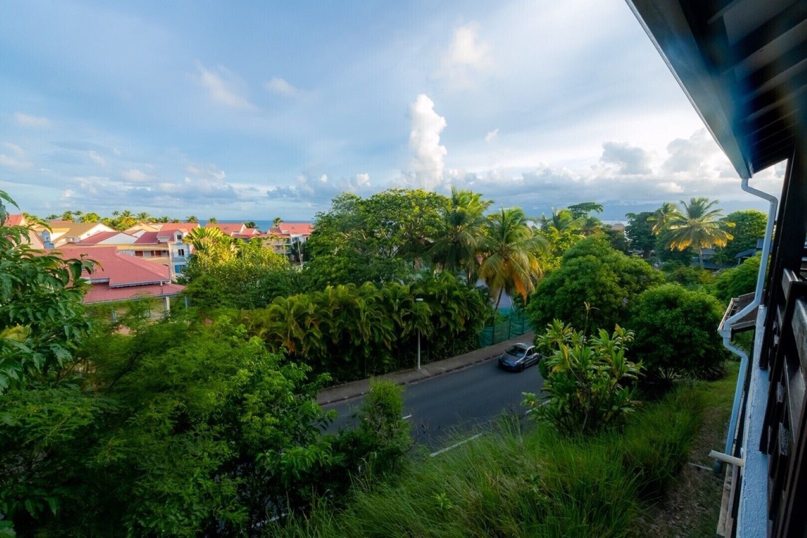 Un barrio residencial con casas, una calle y abundante vegetación.