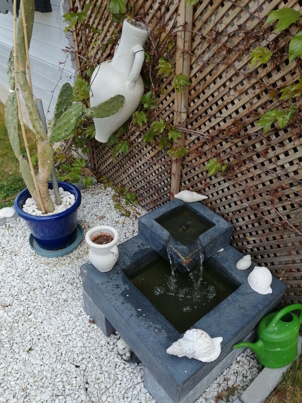 Een tuin met een cactus, een witte kan en een klein waterpartij met schelpen.