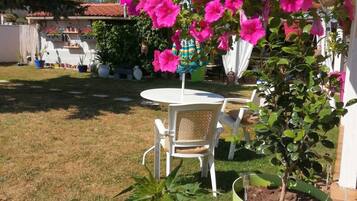 Terras