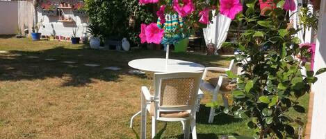 Terras