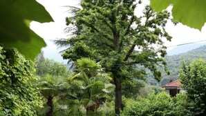 Un exuberante jardín con diversos árboles y plantas, un pequeño edificio de techo rojo y montañas al fondo.