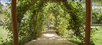 Beautiful 6 BEDROOM Private Villa with garden, BBQ and pool, Playa del Carmen