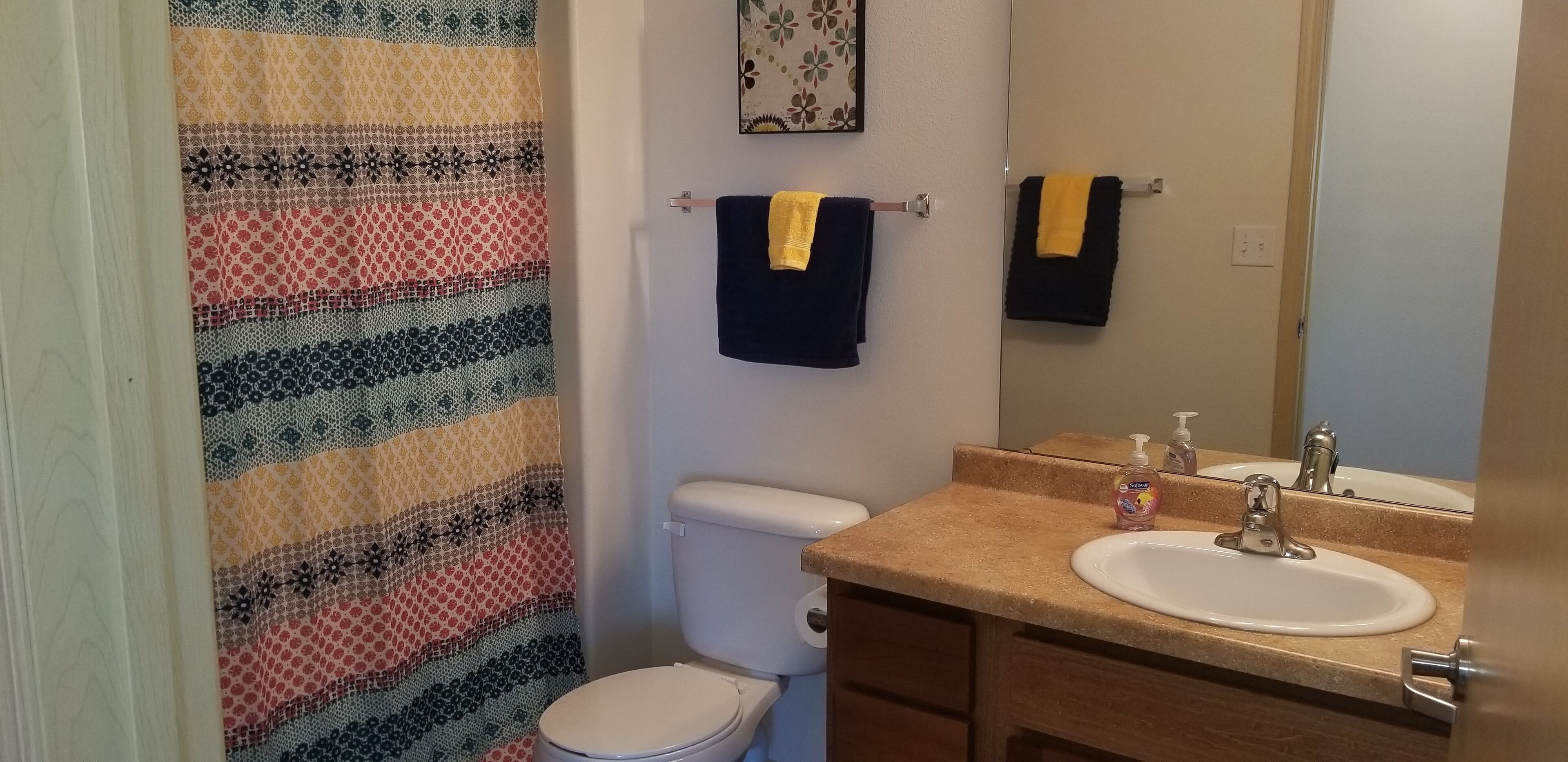 Combined shower/bathtub, hair dryer, towels, soap