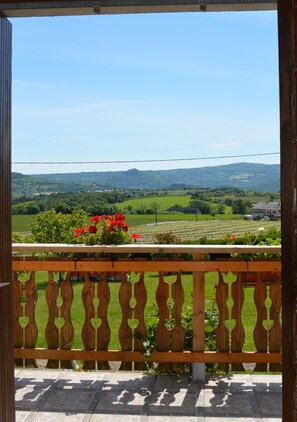 A balcony with a wooden railing overlooking a green landscape with fields and distant hills. - Pleasant house in the heart of the Auvergne volcanoes, Sancy massif (SAINT- DIERY)