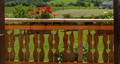Pleasant house in the heart of the Auvergne volcanoes, Sancy massif