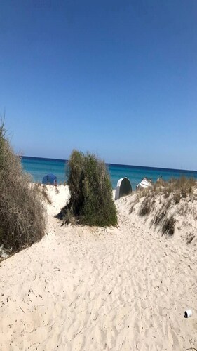 Rent 2 Apartments by the sea