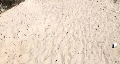 Rent 2 Apartments by the sea