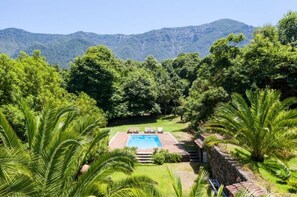 Une piscine entourée d’une végétation luxuriante, avec des montagnes en arrière-plan.