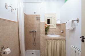 Shower, hair dryer, towels, shampoo