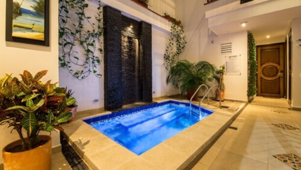 A spa area with a hot tub, indoor plants, and a stone wall.