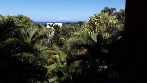 A view of a lush tropical landscape with dense foliage and a distant white building. - Gite T4 MONTANA 200 m2, 7/9 beds, 2 bathrooms and 2 separate toilets, 350 m beach. (Deshaies)