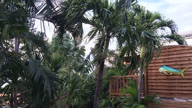 A wooden structure with a fish mural, surrounded by lush tropical plants. - Gite T4 MONTANA 200 m2, 7/9 beds, 2 bathrooms and 2 separate toilets, 350 m beach. (Deshaies)