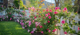 Shabby Chic Rose Cottage Southern California