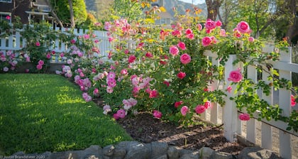 Shabby Chic Rose Cottage Sur de California