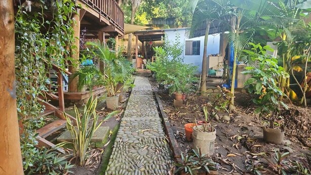 A narrow stone pathway flanked by potted plants and a wooden structure with a balcony. - 3 bedroom Surf and Yoga House (Playa El Tunco)