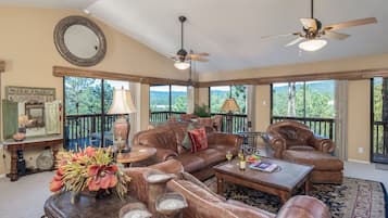 Una Smart TV, una chimenea, libros