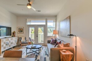 TV - Luxury condo Unit  #207 (Asheville)