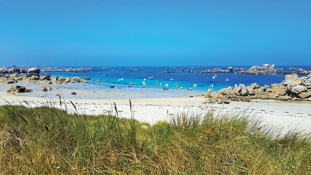 Una spiaggia con acque cristalline, un litorale roccioso e vegetazione rada.
