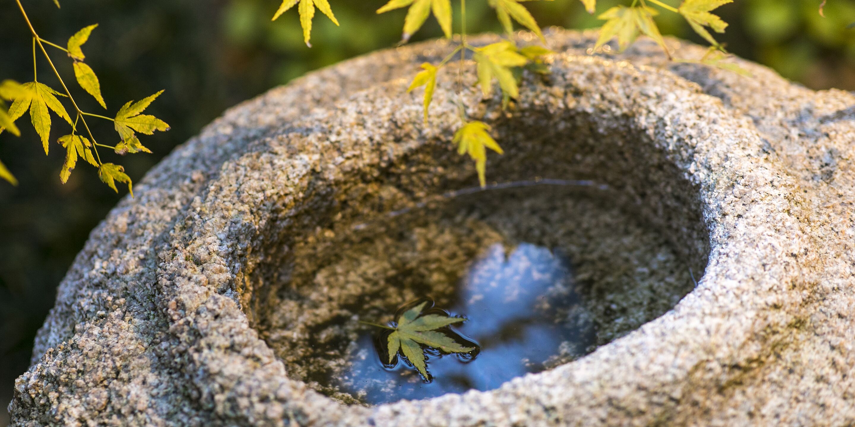 Un cuenco de piedra con agua y una hoja flotando.
