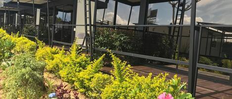 A covered outdoor area with a metal structure, numbered signs, and a variety of plants including yellow flowers and a pink hibiscus.