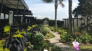 Un sendero en un jardín con plantas variadas y una palmera.